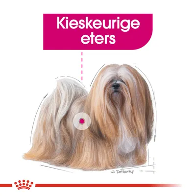 Tekst: Kieskeurige eters. Illustratie van een langharige hond met bruine en witte vacht, detail gemarkeerd op het lichaam.