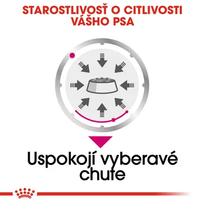 Starostlivosť o citlivosť vášho psa. Uspokojí vyberavé chute.
