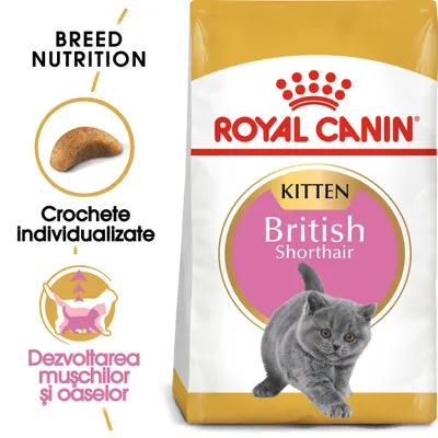 Pachet Royal Canin Kitten British Shorthair, text vizibil: Crochete individualizate, Dezvoltarea mușchilor și oaselor. Imagine cu pisoi gri și crochetă.