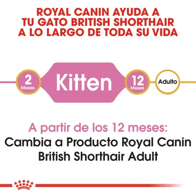Royal Canin Kitten British Shorthair - Pack % - 2 x 10 kg