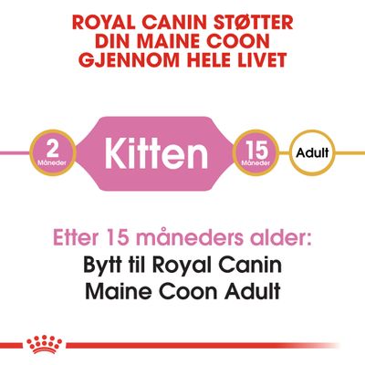 Royal Canin Maine Coon Kitten
