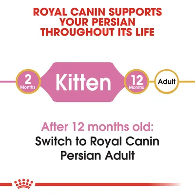 Текст на английском: Royal Canin supports your Persian throughout its life. 2 months Kitten 12 months Adult. After 12 months old: Switch to Royal Canin Persian Adult.