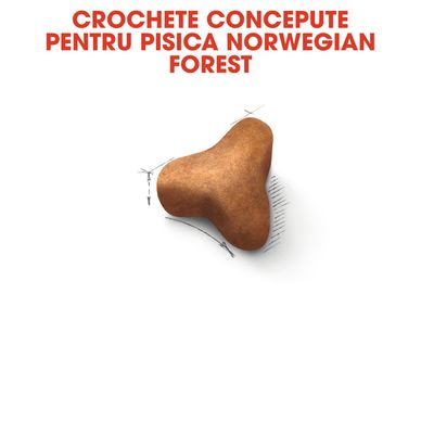 Crochete concepute pentru pisica Norwegian Forest, imagine cu o croșetă maro și textul de deasupra: CROCCHETE CONCEPTE PENTRU PISICA NORWEGIAN FOREST.