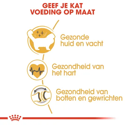 Geef je kat voeding op maat. Gezonde huid en vacht, gezondheid van het hart, gezondheid van botten en gewrichten.