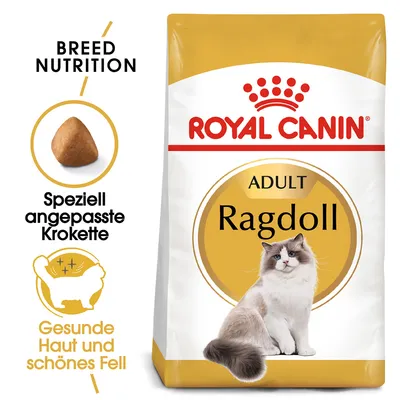Royal Canin Adult Ragdoll Katzenfutter. Speziell angepasste Krokette. Gesunde Haut und schönes Fell. Breed Nutrition.