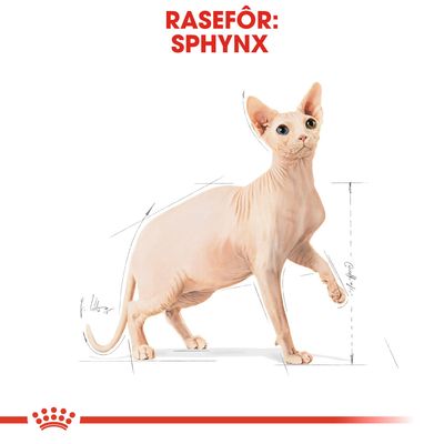 Royal Canin Sphynx Adult
