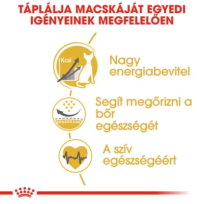 Táplálja macskáját egyedi igényeinek megfelelően: nagy energiabevitel, segít megőrizni a bőr egészségét, a szív egészségéért. Kcal, grafikon, szív ikon látható.
