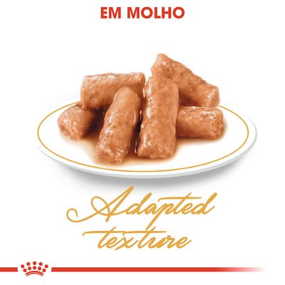 Prato com pedaços de comida húmida em molho. Texto visível: 'EM MOLHO' e 'Adapted texture'.