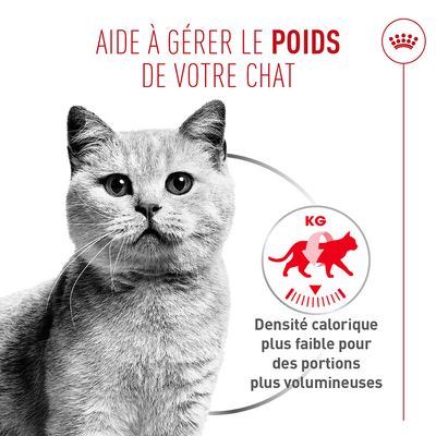 Aide à contrôler le poids de votre chat. Densité calorique réduite pour des portions plus grandes.