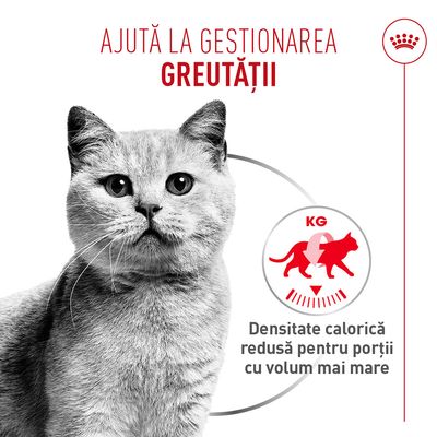 Ajută la controlul greutății. Densitate calorică redusă pentru porții mai mari.