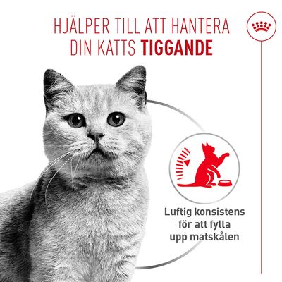 Royal Canin Appetite Control Care AirLift Mousse