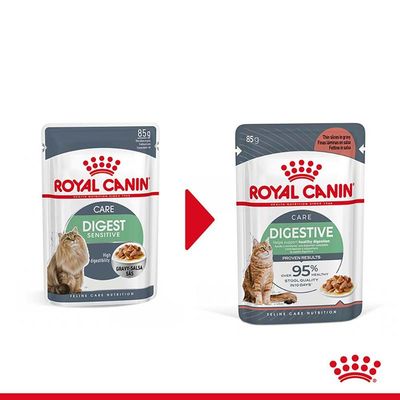 Промяна на опаковката: Royal Canin Care Digest Sensitive 85 г става Royal Canin Care Digestive 85 г. Видими са двете опаковки с котка и храна в сос.