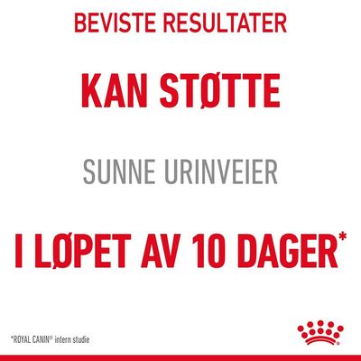 Royal Canin Urinary Care i saus