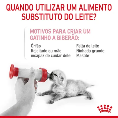 Texto: Quando utilizar um alimento substituto do leite? Motivos para criar um gatinho a biberão: Órfão, Rejeitado ou mãe incapaz de cuidar dele, Falta de leite, Ninhada grande, Mastite.