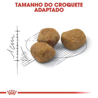 Três croquetes de ração com texto 'Tamanho do croquete adaptado' e escala desenhada a indicar 1 cm.