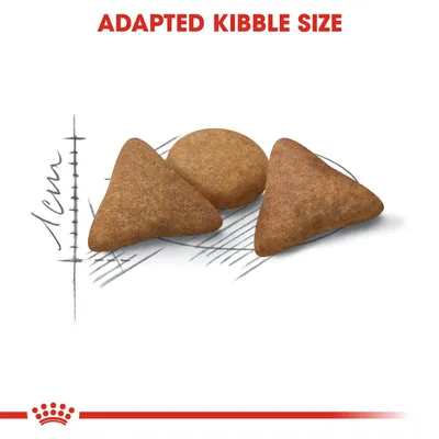 Adapted kibble size, three pieces of dry pet food shown with a 1 cm scale for reference. Text: ADAPTED KIBBLE SIZE.