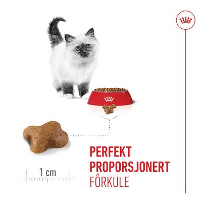 Royal Canin Kitten