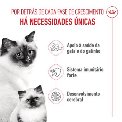 Royal Canin Mother & Babycat