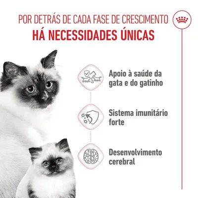 Royal Canin Mother & Babycat - 2 kg