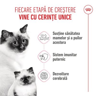 Grafic cu trei puncte: susținere a sănătății mamelor și puilor, sistem imunitar puternic, dezvoltarea creierului. Text în limba română.