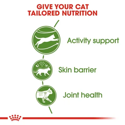 GIVE YOUR CAT TAILORED NUTRITION. Activity support, Skin barrier, Joint health. Tre grønne ikoner med katte og engelske tekstbeskrivelser af produktfordele.