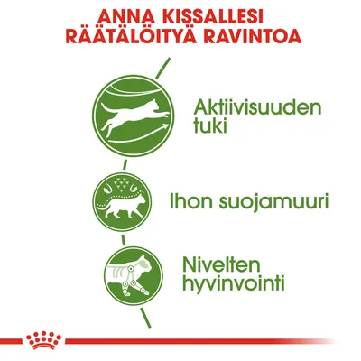 Anna kissallesi räätälöityä ravintoa: aktiivisuuden tuki, ihon suojamuuri, nivelten hyvinvointi. Kolme vihreää kuvaketta ja tekstit esittävät ominaisuudet.
