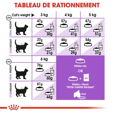 Tableau de rationnement pour chats stérilisés Royal Canin : quantités de croquettes et sachets selon poids (3, 4, 5, 6 kg) et statut (poids idéal ou surpoids), instructions visibles.
