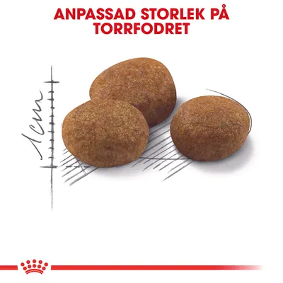 Royal Canin Sterilised 7+ - 10 kg
