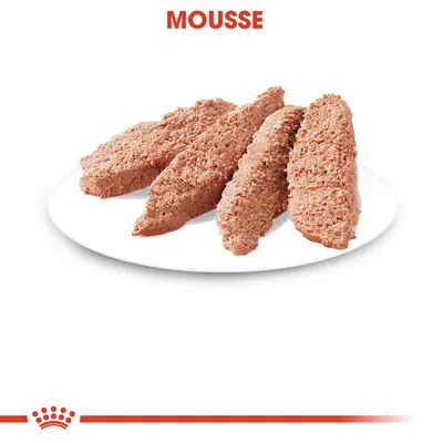 Assiette avec quatre parts de mousse pour animaux, texture pâtée. Texte visible en haut : MOUSSE. Symbole de couronne rouge en bas de l’image.