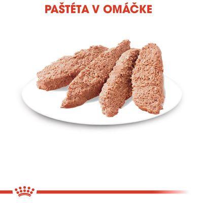 Paštéta v omáčke – štyri porcie paštéty na bielom tanieri, text „PAŠTÉTA V OMÁČKE“ hore na obrázku červeným písmom.