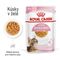 Royal Canin FHN Kitten Sterilised v želé 12 × 85 g