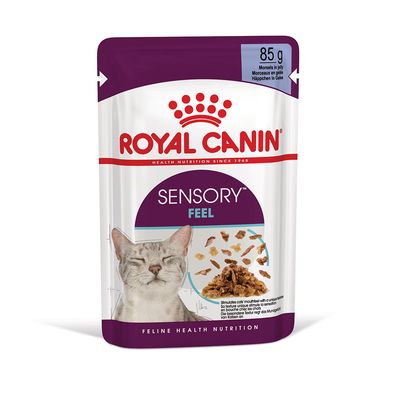Royal Canin Sensory Feel kattenvoer in gelei, 85 g. Afbeelding van kat en stukjes voer op de verpakking. Tekst: Feline Health Nutrition.