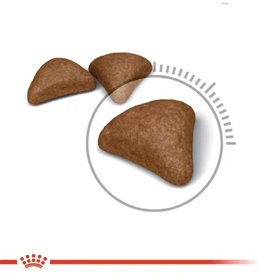 Tre trekantede brune tørfoderpiller vist tæt på, med Royal Canin-kronemærke nederst i billedet.