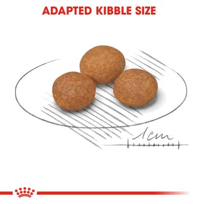 Упаковка корма Royal Canin X-Small Adult 8+ для очень маленьких собак до 4 кг, изображение собаки, надписи: Vitality Support, Healthy Transit, Very Palatable, Size Health Nutrition.