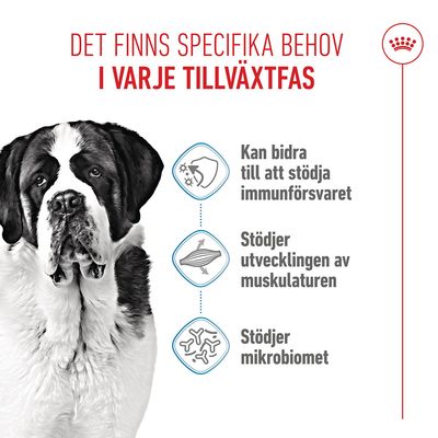 Royal Canin Giant Junior