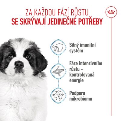Silný imunitní systém, fáze intenzivního růstu – kontrolovaná energie, podpora mikrobiomu. Infografika s obrázkem psa.
