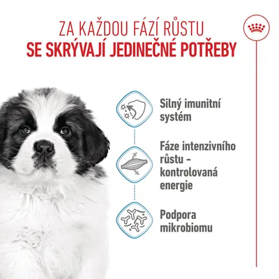Silný imunitní systém, fáze intenzivního růstu – kontrolovaná energie, podpora mikrobiomu. Infografika s obrázkem psa. Silný imunitní systém, fáze intenzivního růstu – kontrolovaná energie, podpora mikrobiomu. Infografika s obrázkem psa.