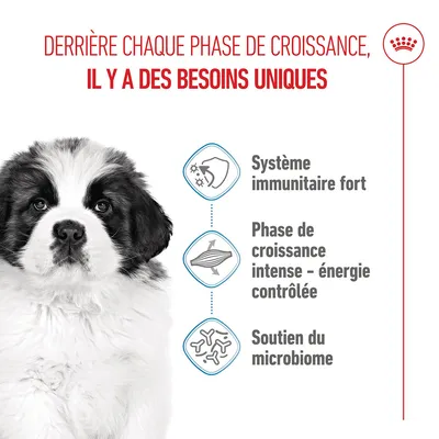 Système immunitaire fort, phase de croissance intense – énergie contrôlée, soutien du microbiome. Texte d'information en français sur les besoins uniques pendant les phases de croissance.
