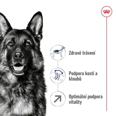 Německý ovčák vedle ikon a textu: Zdravé trávení, Podpora kostí a kloubů, Optimální podpora vitality. Vpravo nahoře červená korunka.