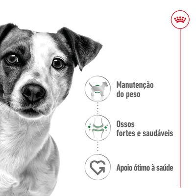 Manutenção do peso, ossos fortes e saudáveis, apoio ótimo à saúde – texto visível junto a ícones ilustrativos ao lado de um cão. Coroa vermelha no canto superior direito.