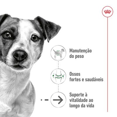 Manutenção do peso, ossos fortes e saudáveis, suporte à vitalidade ao longo da vida. Três benefícios destacados com ícones junto a imagem parcial de um cão.