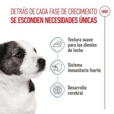 Royal Canin Mini Puppy en salsa - 12 x 85 g