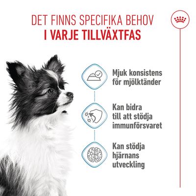 Royal Canin X-Small Puppy i sås - 12 x 85 g