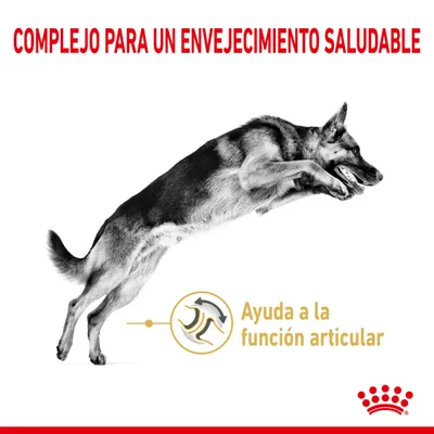 COMPLEJO PARA UN ENVEJECIMIENTO SALUDABLE. Ayuda a la función articular. Imagen de un perro saltando y logotipo de Royal Canin.