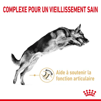 Texte : Complexe pour un vieillissement sain. Aide à soutenir la fonction articulaire. Image d’un chien en mouvement et symbole de l’articulation. Marque Royal Canin visible.