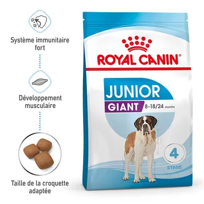 ROYAL CANIN JUNIOR GIANT 8–18/24 months, image de croquettes, Saint-Bernard, mentions : système immunitaire fort, développement musculaire, taille de la croquette adaptée