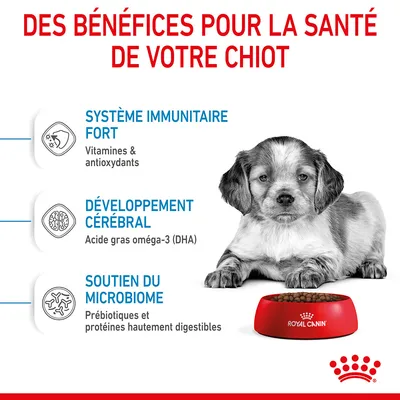 Des bénéfices pour la santé du chiot : système immunitaire fort (vitamines et antioxydants), développement cérébral (acide gras oméga-3 DHA), soutien du microbiome (prébiotiques, protéines digestibles).