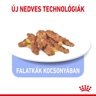 Új nedves technológiák, falatkák kocsonyában. Tányéron húsos falatok zselés állagban, Royal Canin márkajelzés.
