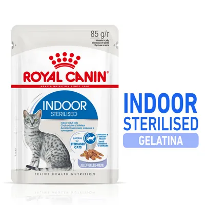 Royal Canin Indoor Sterilised Gelatina, bustina da 85 g per gatti adulti sterilizzati. Testo visibile: suitable for sterilised cats, digestive & urinary health, jelly-gelee.