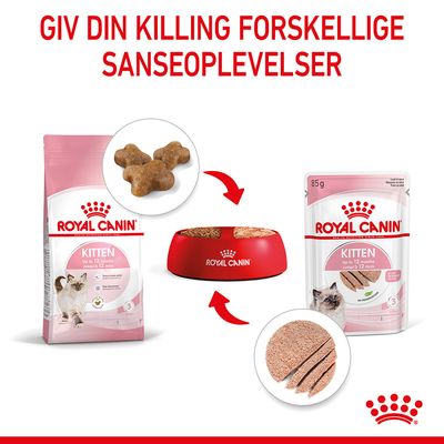 Royal Canin Kitten tørfoder og vådfoder, begge til killinger op til 12 måneder. Tekst: Giv din killing forskellige sanseoplevelser. Skål med foder i midten.